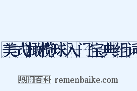 美式橄榄球入门宝典组词是什么意思的图片